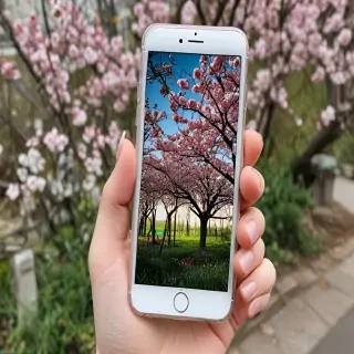 spring iphone
