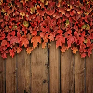 autumn iphone wallpaper