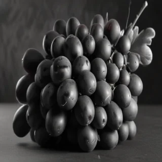 grapes clipart black and white