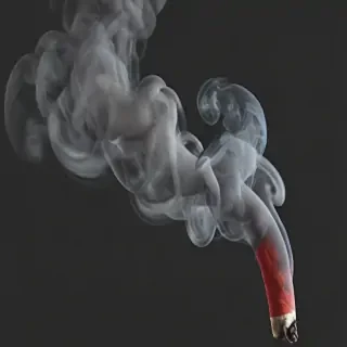 smoke no background