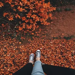 fall aesthetic wallpaper iphone