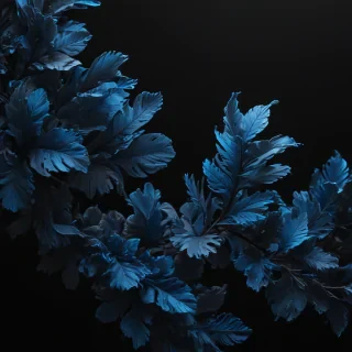 black background blue