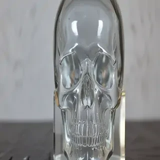 transparent skull