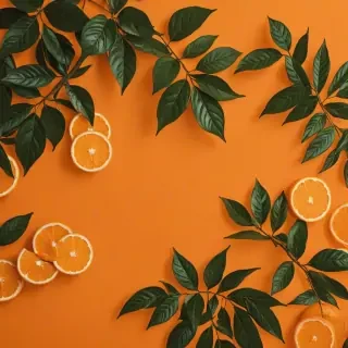 orange background aesthetic