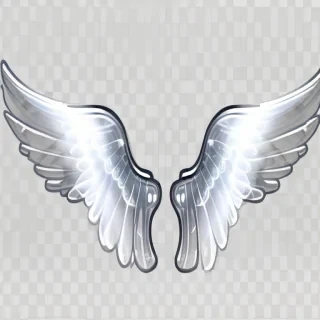 transparent angel wings