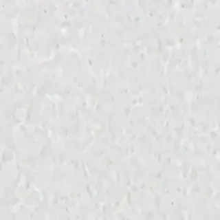 white bg