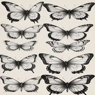butterflies sketches