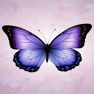 purple butterfly clipart
