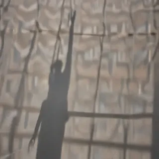 window shadow