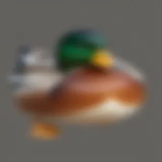 duck png