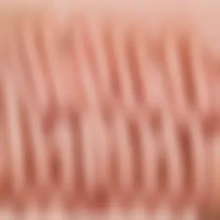 nail png