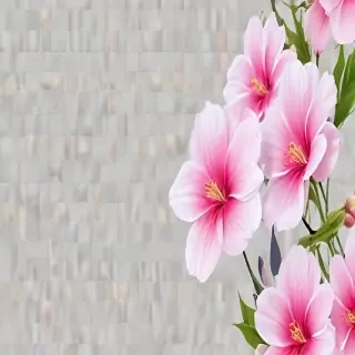 transparent flower background
