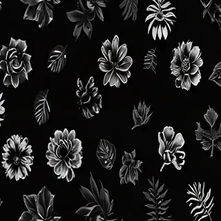 black bg aesthetic