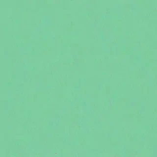 mint green background