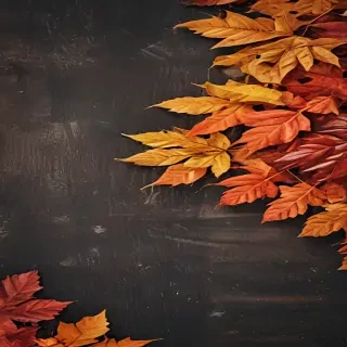 fall wallpaper iphone