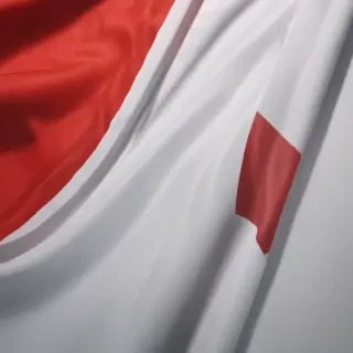 polish flag