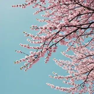 spring aesthetic desktop wallpaper