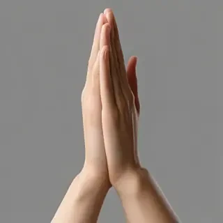 praying hands png transparent