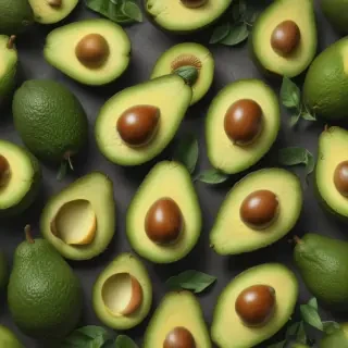 avocado drawing