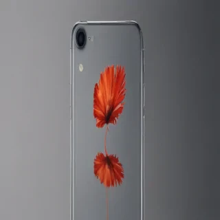 aesthetic minimalist iphone wallpaper