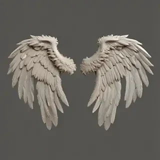 png angel wings