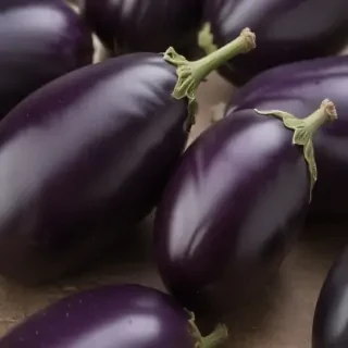 new eggplant friday