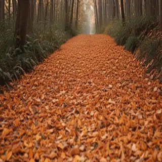 fall leaves aesthetic