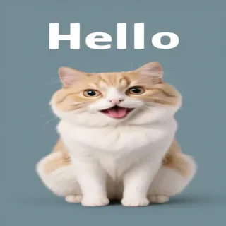 hello gif