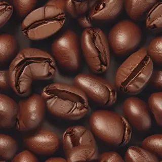 coffee bean png