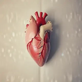 real heart wallpaper