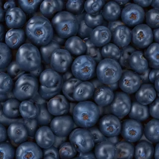 blueberry png