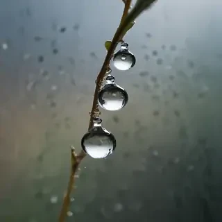 water droplets transparent
