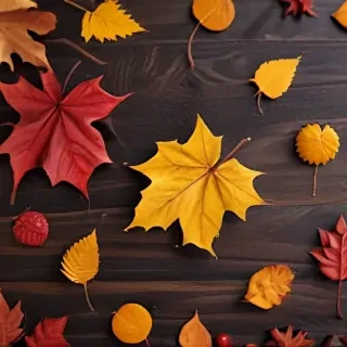 iphone fall wallpaper