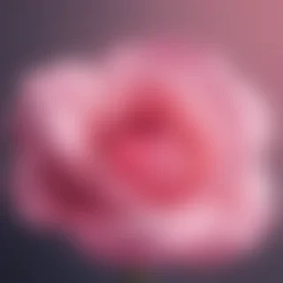 pink wallpapers for iphone