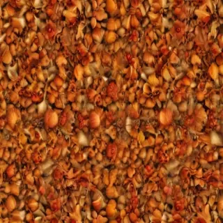 autumn background iphone