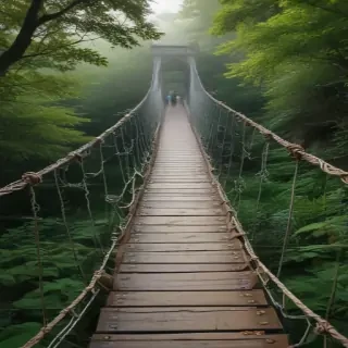 suspension bridge