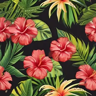 hawaii png