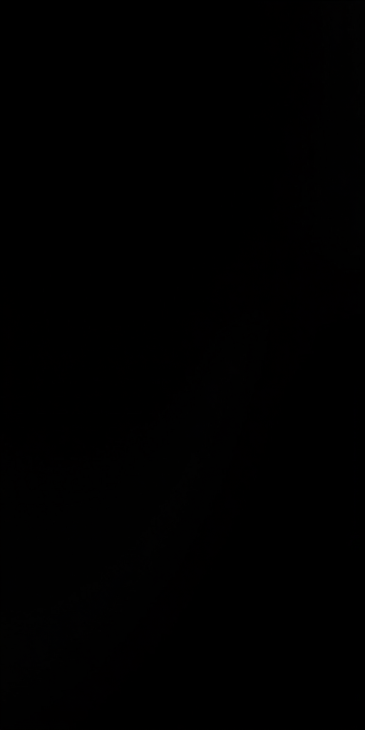 black gradient transparent