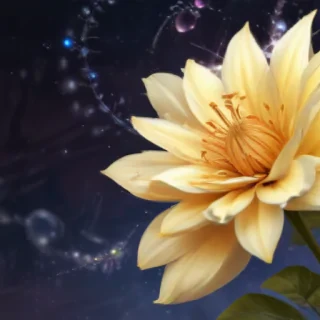 flower cartoon png