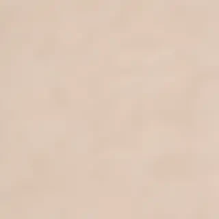 neutral aesthetic background