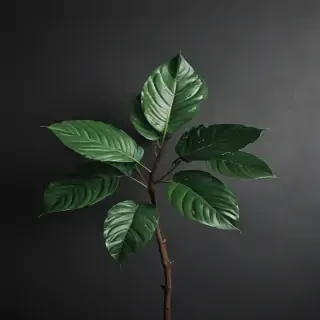plant iphone wallpaper