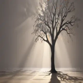 wallpaper shadow
