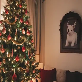 christmas pic aesthetic