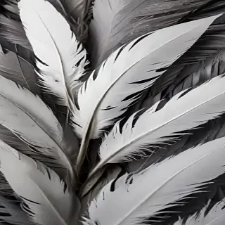feather background