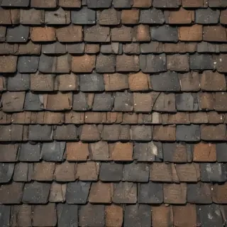 picture of shingles