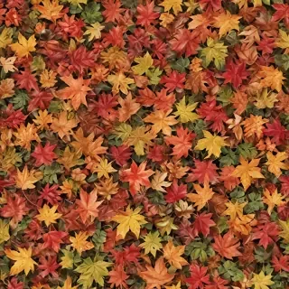 fall leaves