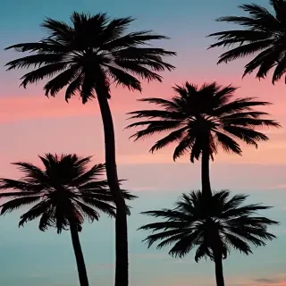 palm trees background