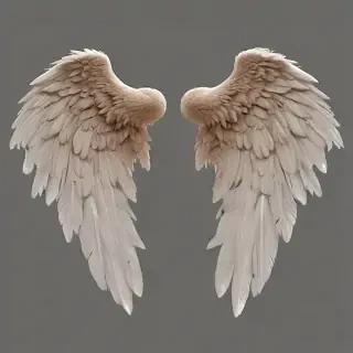 wings transparent background