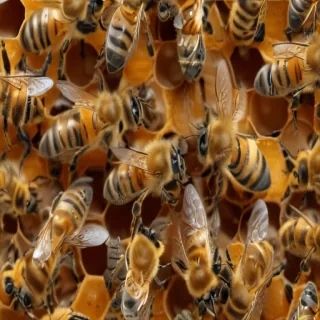 bees png