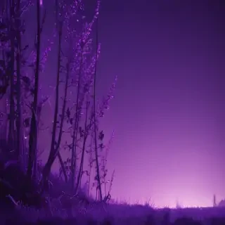 purple screen wallpaper